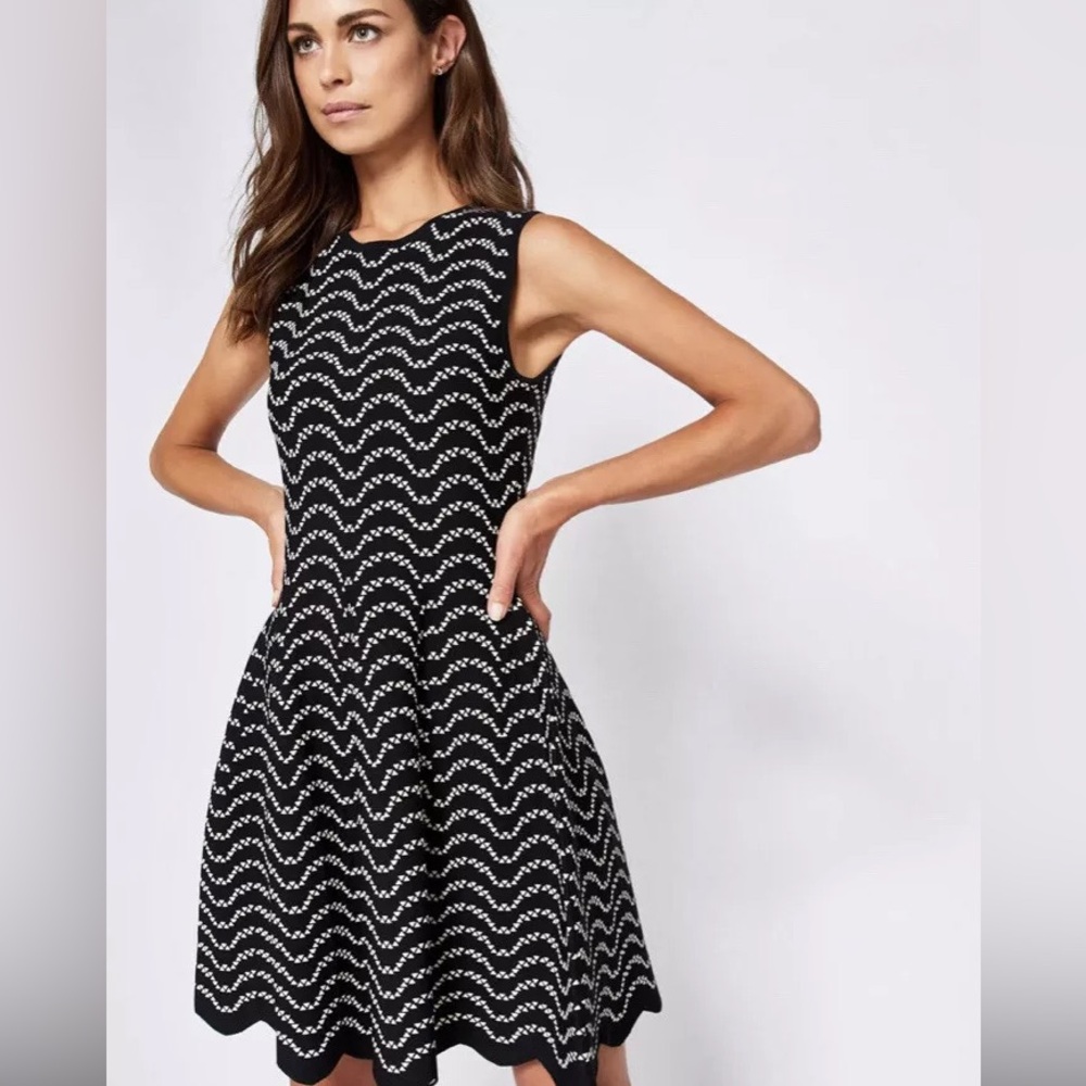 Ted Baker Navy & White Fit & Flare dress